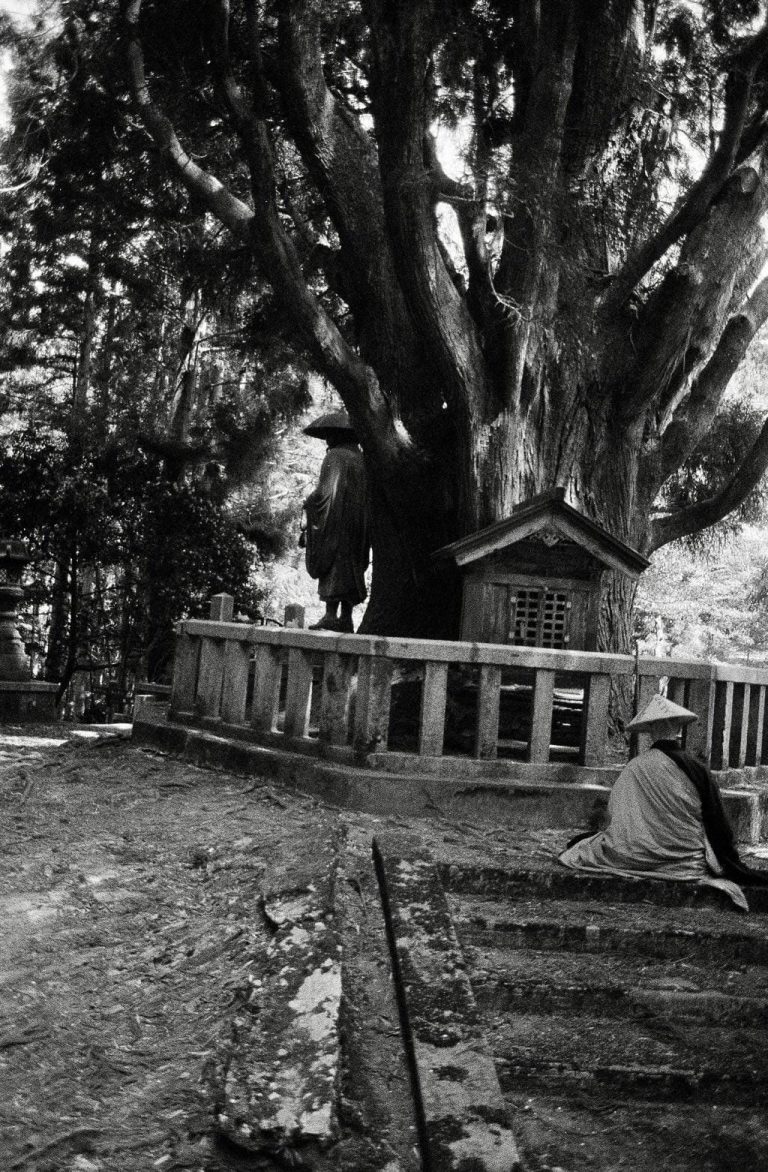 347431292_804645084596849_1375868301175411497_n